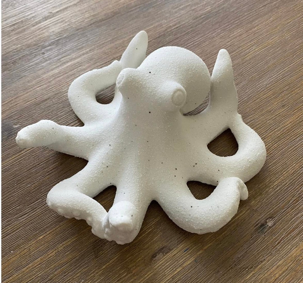White Sandy Octopus